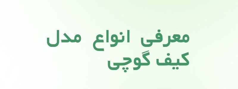 انواع مدل کیف گوچی